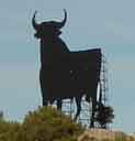 osborne bull