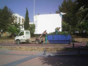 Nerja pruning