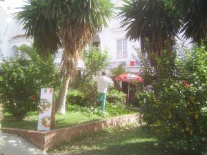 Tree pruning, Nerja