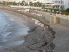 El Chucho beach, Nerja