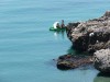 Carabeillo beach, Nerja